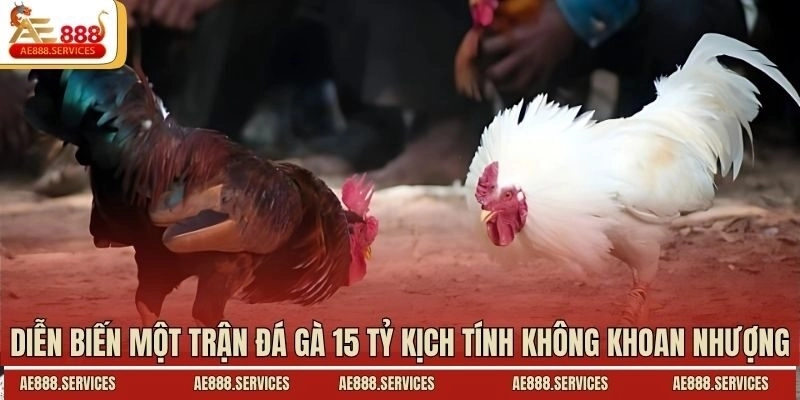 Diễn biến một trận đá gà 15 tỷ kịch tính không khoan nhượng