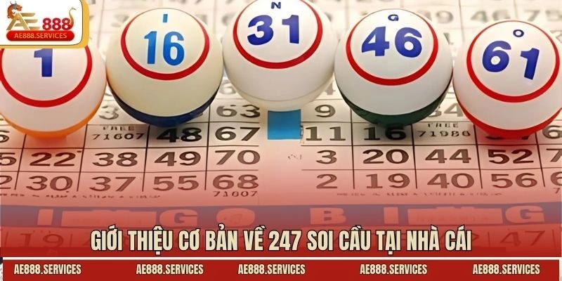 Giới thiệu cơ bản về 247 soi cầu tại nhà cái