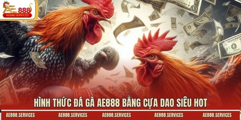 Hình thức đá gà AE888 bằng cựa dao siêu hot