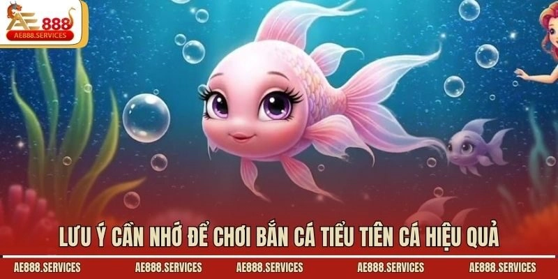 Lưu ý cần nhớ để chơi bắn cá Tiểu Tiên Cá hiệu quả